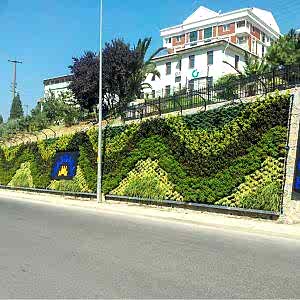 Gebze Belediyesi Dikey Bahçe Uygulaması