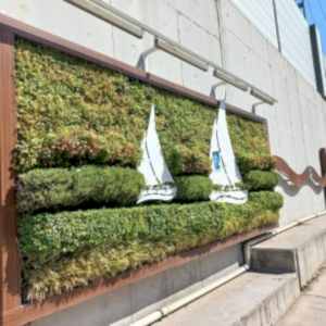 Tuzla Hat Boyu Caddesi04